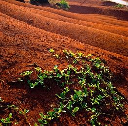 《无人深空》更新腰斩升级模块栏位 引玩家差评轰炸